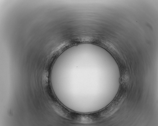 X0000115140264200911101713