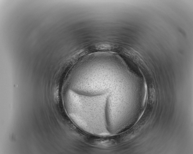 X0000115140267200911101713