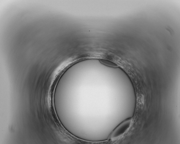 X0000115140294200911101713