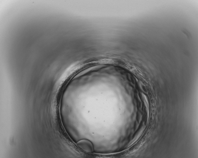 X0000115140295200911101713