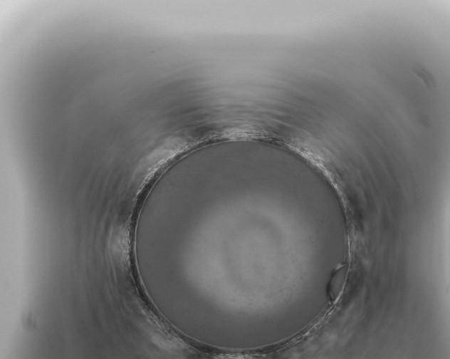 X0000115140297200911101713