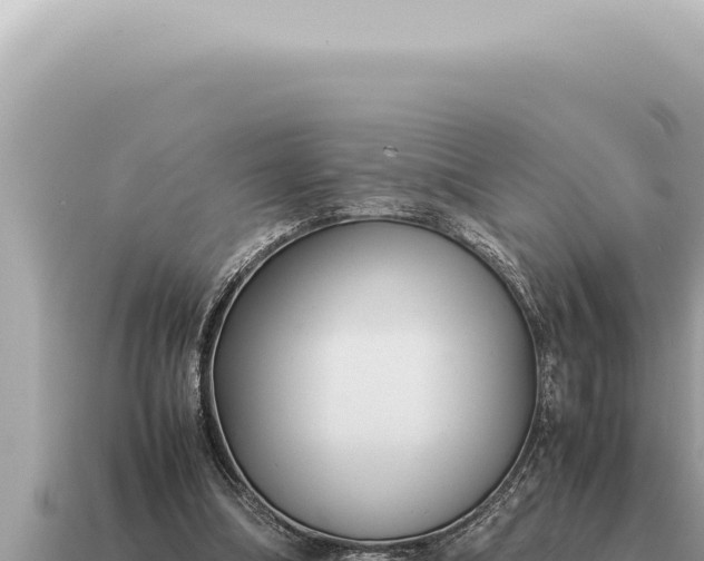 X0000115140298200911101713