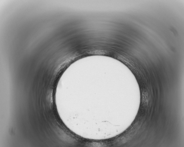X0000115140302200911101713