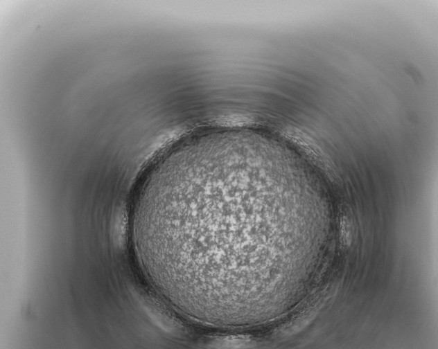 X0000115140304200911101713