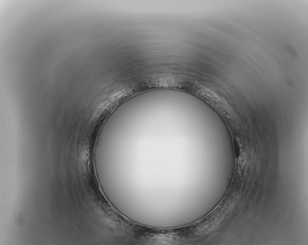 X0000115140306200911101713