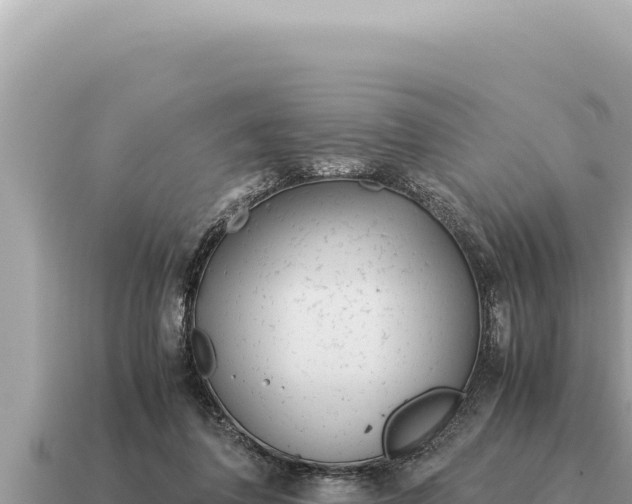 X0000115140308200911101713