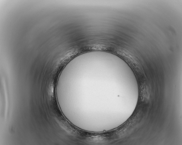 X0000115140310200911101713