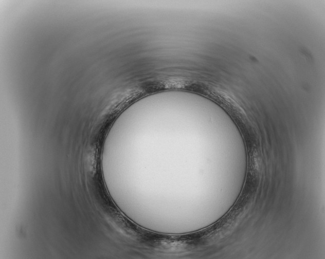 X0000115140311200911101713