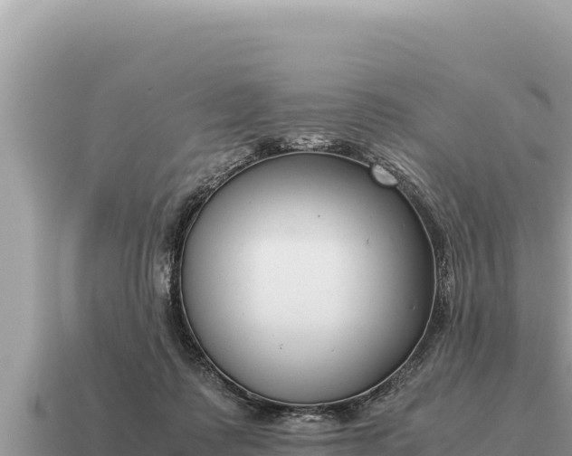 X0000115140315200911101713