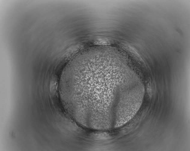 X0000115140322200911101713