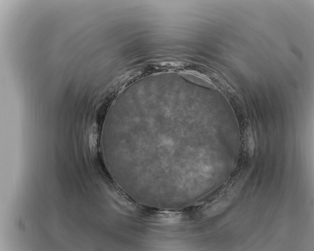 X0000115140328200911101713