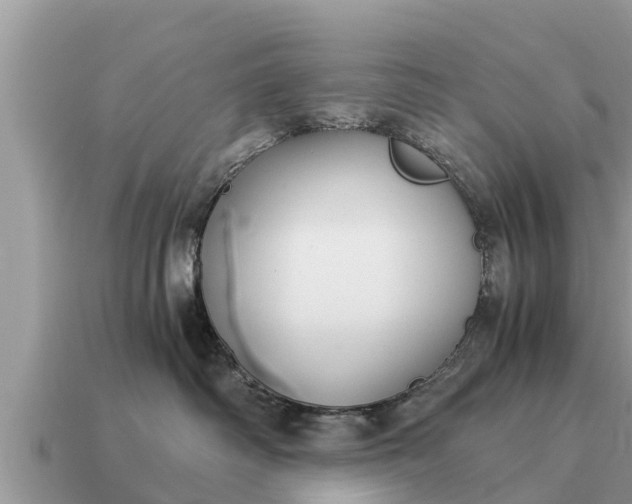 X0000115140334200911101712