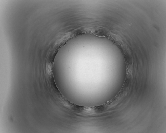X0000115140335200911101712