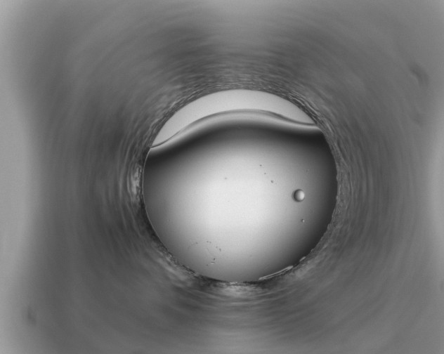 X0000115140336200911101712