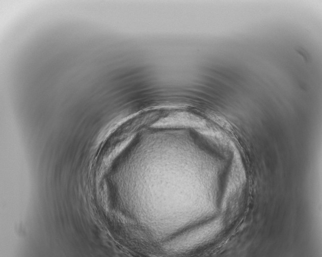 X0000115140337200911101712