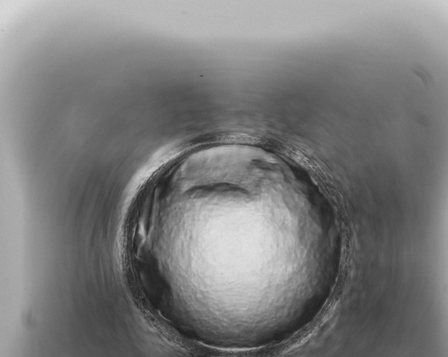 X0000115140343200911101712