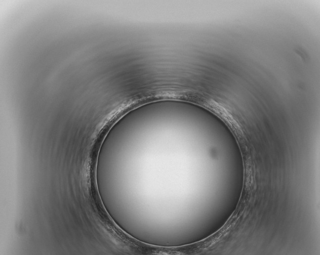 X0000115140346200911101712