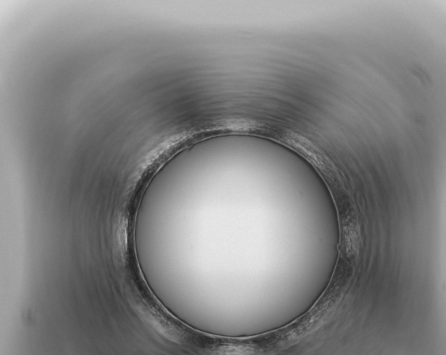 X0000115140350200911101712