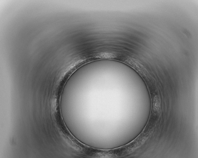 X0000115140351200911101712
