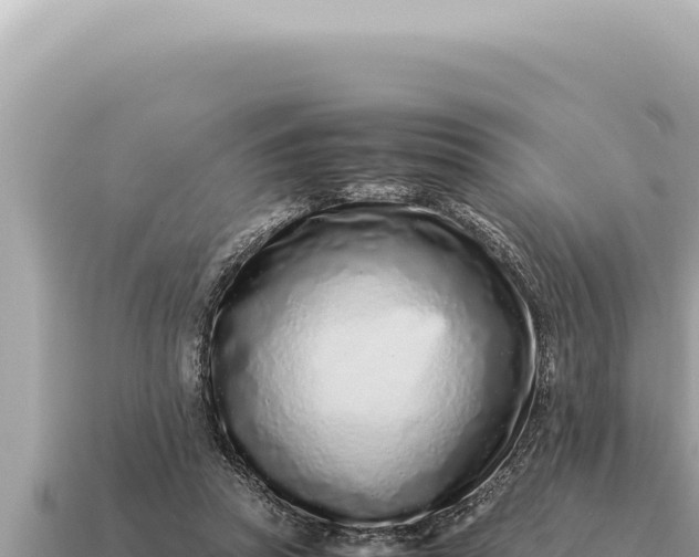 X0000115140353200911101712