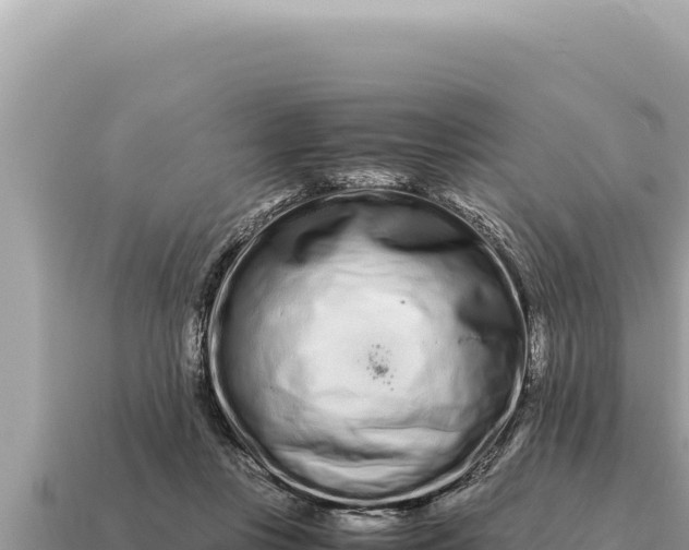 X0000115140359200911101712