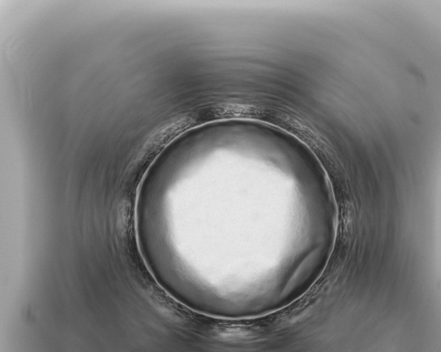 X0000115140361200911101712