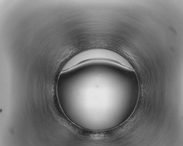 X0000115140362200911101712