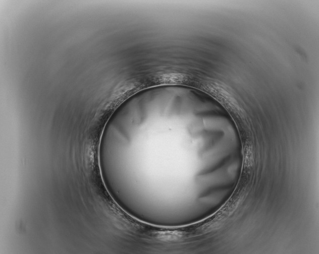 X0000115140363200911101712