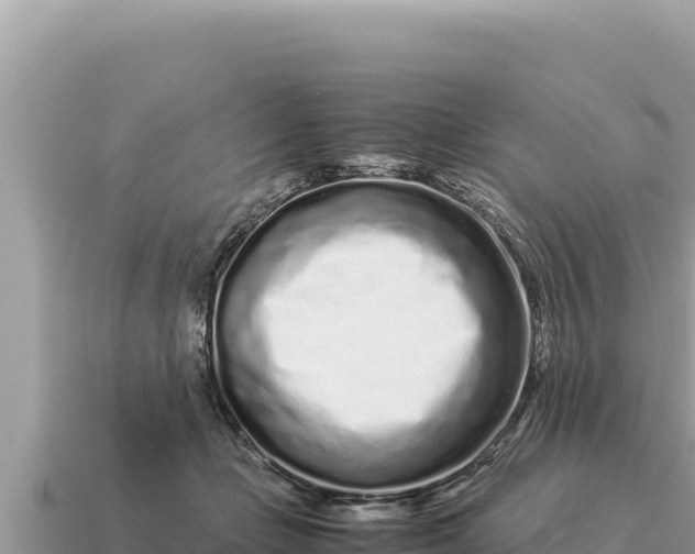 X0000115140365200911101712