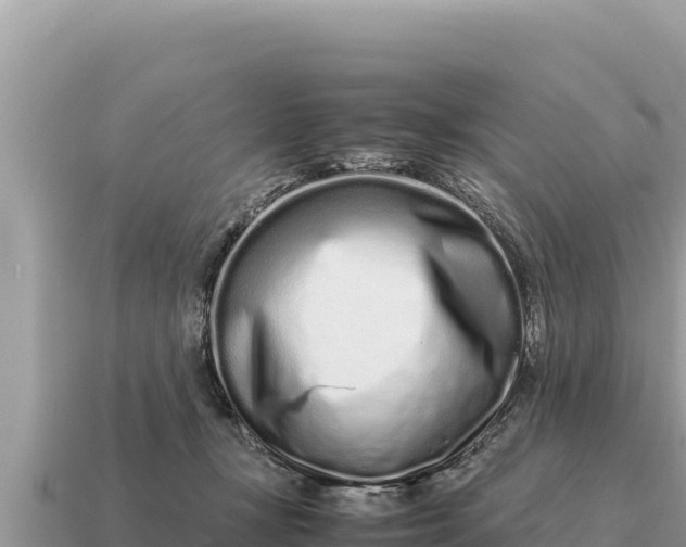 X0000115140367200911101712