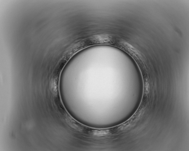 X0000115140373200911101712