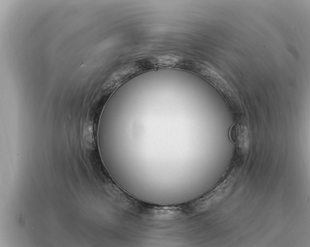 X0000115140378200911101712