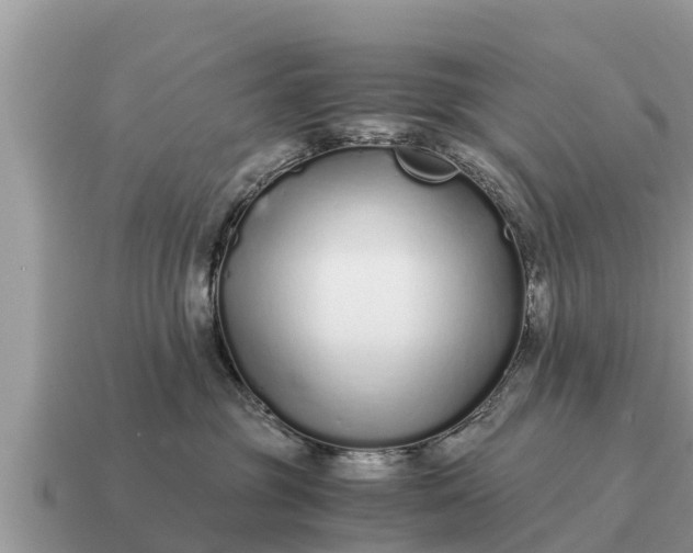 X0000115140381200911101712