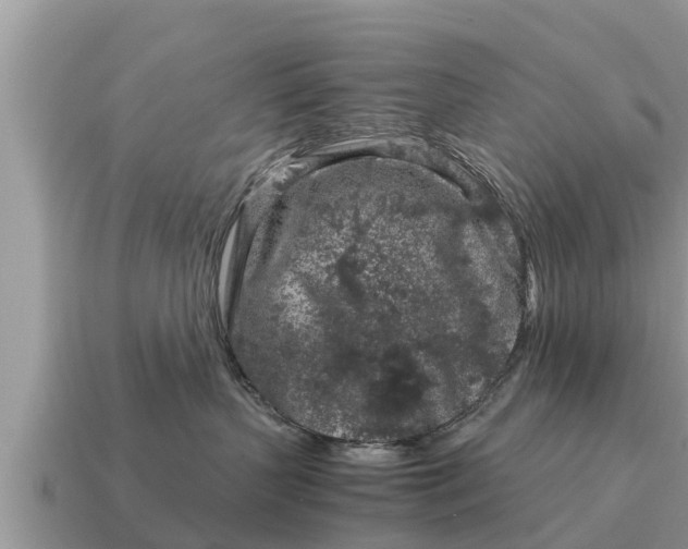 X0000115140383200911101712