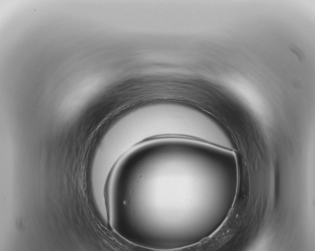 X0000115140387200911101712