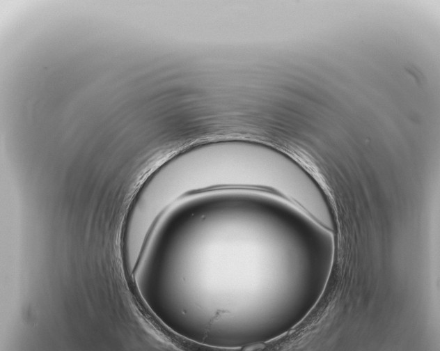 X0000115140389200911101712
