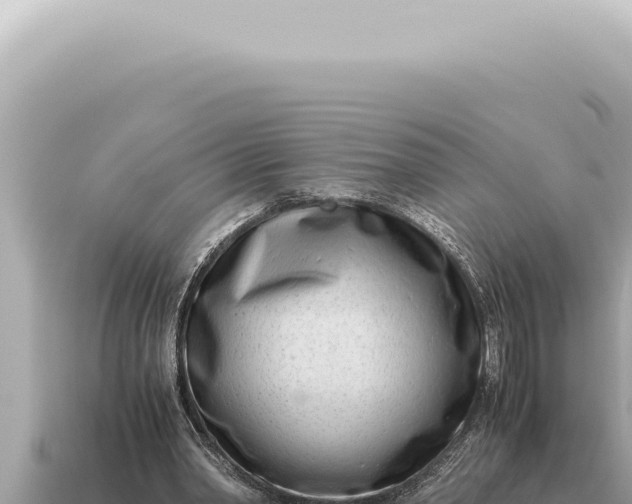 X0000115140390200911101712