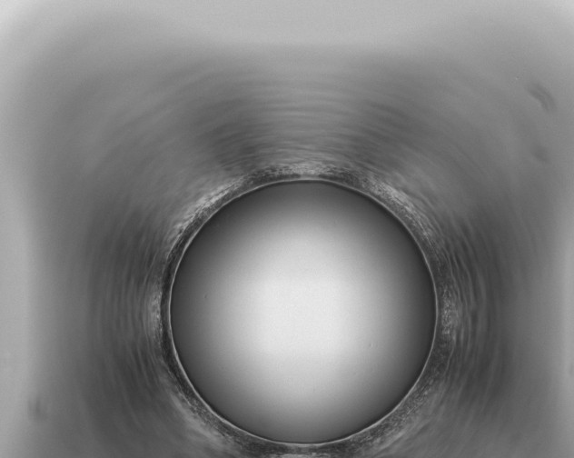 X0000115140394200911101712