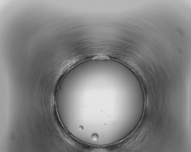 X0000115140397200911101712