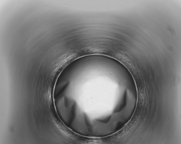 X0000115140398200911101712