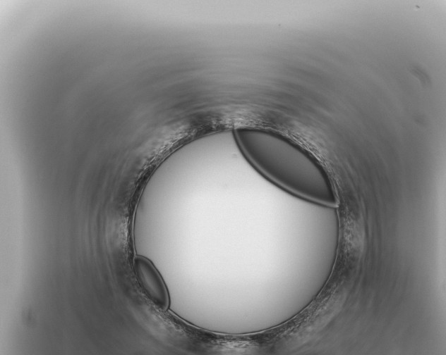 X0000115140401200911101712