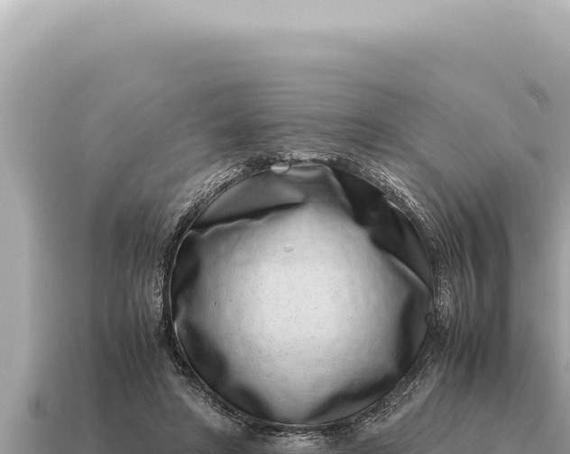X0000115140402200911101712