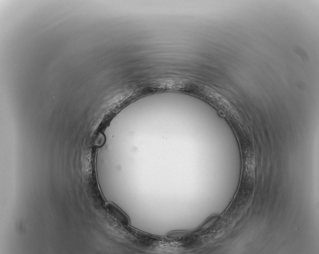 X0000115140403200911101712