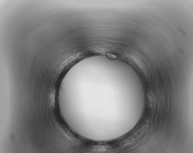 X0000115140404200911101712