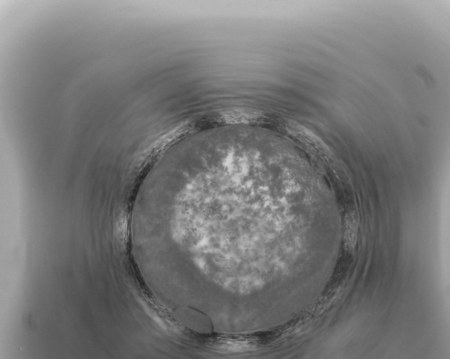 X0000115140405200911101712
