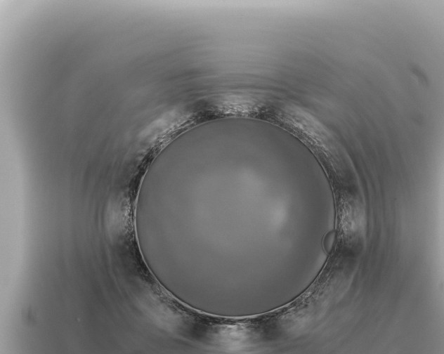 X0000115140411200911101711