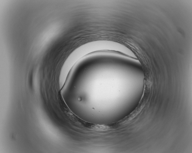 X0000115140429200911101711