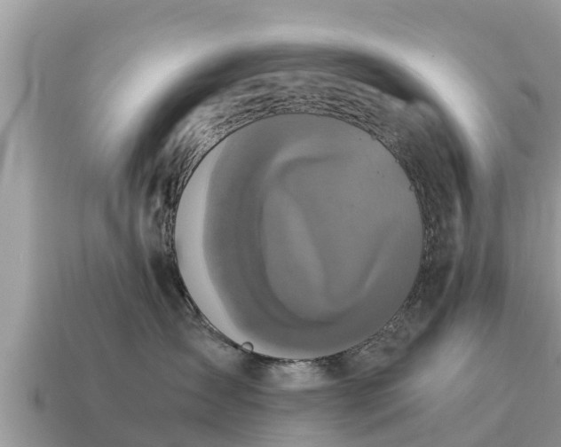 X0000115140431200911101711