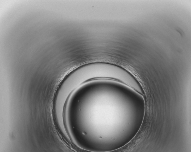 X0000115140434200911101711