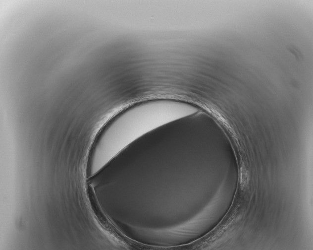 X0000115140438200911101711